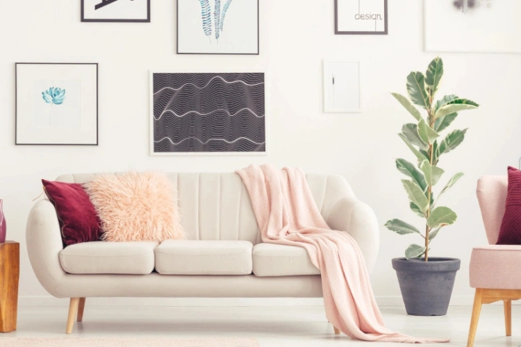 Contemporary Living Room with Couch and Plant