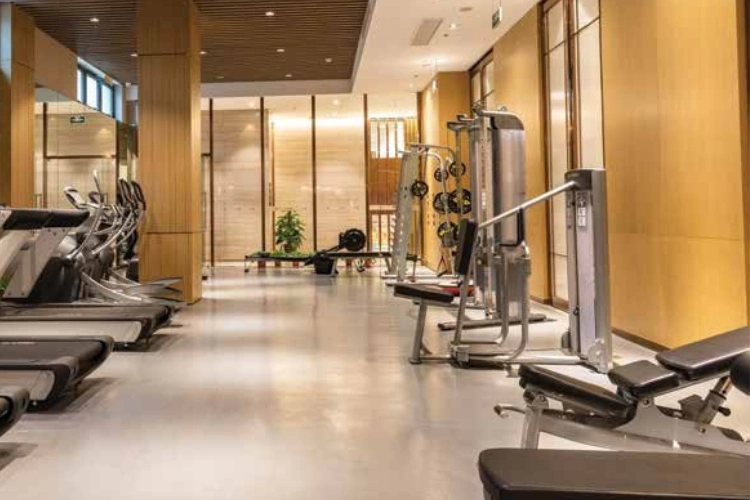 Modern Gym with Equipment