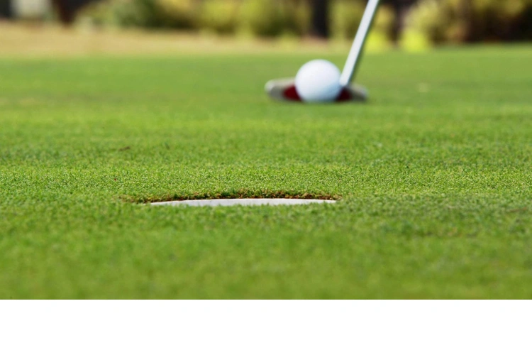 Golf Ball Near Hole on Green